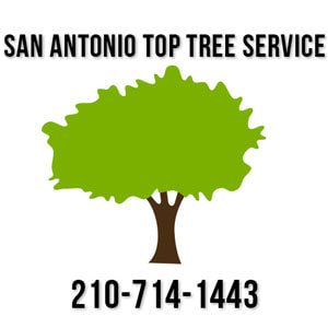 san antonio top tree service logo